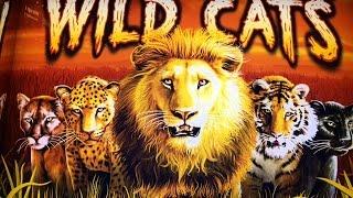 Wild Cat Slot Bonus
