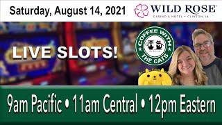 LIVE SLOTS - COFFEE WITH THE CATS