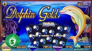 ++NEW  Dolphine Gold slot machine, bonus