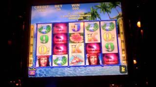Slot win on Aloha Paradise at Sands Casino in Bethlehem, PA