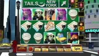 Tails Of New York• free slots machine by Saucify preview at Slotozilla.com