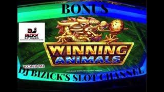 ~*** BONUS FREE SPINS ***~Winning Animals Slot Machine~ FIRST & LAST TRY • DJ BIZICK'S SLOT CHANNEL
