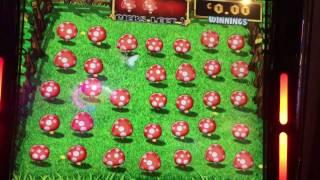 Rainbowriches fields of gold 4 mushrooms with pie