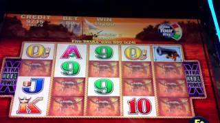 Best of 2015 Year in Review!!!!!!  $20,000 in SLOT MACHINE WINS!