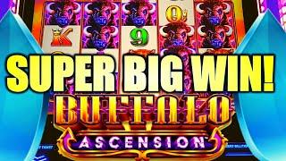 ⋆ Slots ⋆SUPER BIG WIN!⋆ Slots ⋆ STAMPEDE!! NEW BUFFALO ASCENSION Slot Machine (Aristocrat Gaming)