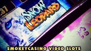 (Quick Live Play 1) Snow Leopard / Sweet Drops Slot Machines