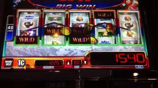 WMS - Snow Leopard Win - SugarHouse Casino - Philadelphia, PA