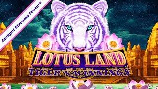 Sycuan • Lotus Land Tiger's Winnings Jackpot Stream Feature • The Slot Cats •