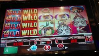Multimedia Games Everi Snow Tiger Slot Machine Bonus