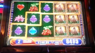 Jungle Wild 3 1c Bonus - BIG WIN!