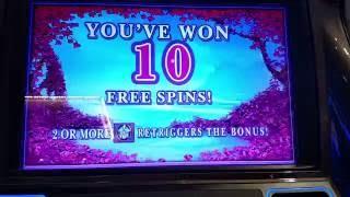 Wild Orchid $4 Bet 5c Denom Free Spin bonus slot machine IGT