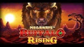 Buffalo Rising BIG WIN - Huge win over 1000x - free spins (Online Casino)