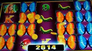 Exotic Butterfly Slot Machine Bonus - 9 Free Games with Added Stacked Wilds - Nice Win (#2)