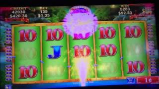 Dragon's Law Line Hit @ $1.35 Bet