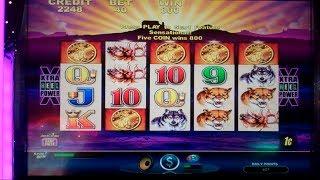 BUFFALO Slot Machine 5 COIN BONUS - 38 Free Spins 100x+ BET WIN