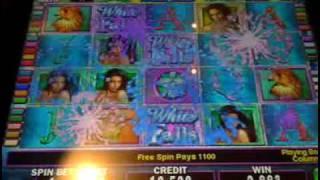 White Orchid slot machine bonus win