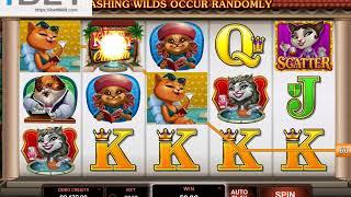 MG Kitty Cabana Slot Game •ibet6888.com