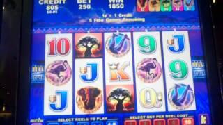 Aristocrat African storm max bet bonus round free spins slot machine