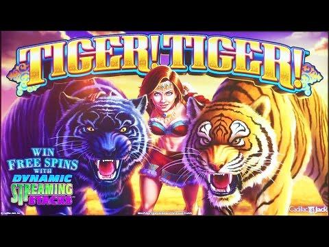 Tiger Tiger slot machine, DBG