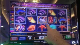 LIVE PLAY on Mystical Mermaid Slot Machine