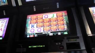 HUGE Wild Wolf 1c Hit!