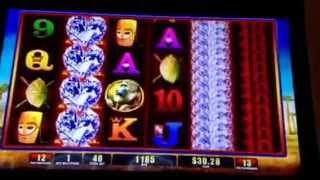 Bull Elephant Slot Machine Bonus 4 Elephants Mirage Casino Las Vegas