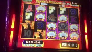 Monty millions Freespins and a slice of pie