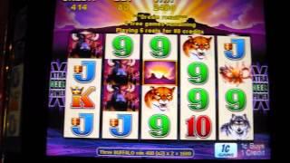 BUFFALO Slot Machine Free Spins Bonus Round Win