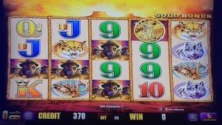 Buffalo Gold slot machine, DBG #16