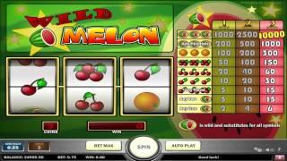 Wild Melon• slot machine by Play'n Go | Game preview by Slotozilla