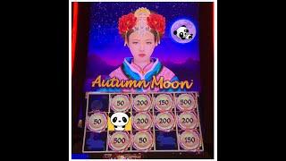 Dragon Link Autumn Moon, then winning BIG on freeplay•️