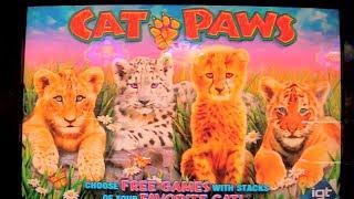NEW SLOT MACHINE Cat Paws FIRST LOOK Las Vegas Slots Win