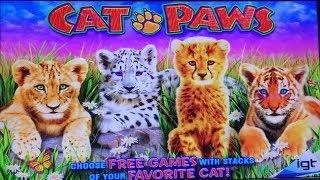 CAT PAWS & DOGS Slot Machine IGT - 2 Cute Games - 2x Bonus 2x Big Win - Live Play !!!