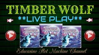 •LIVE PLAY•TIMBER WOLF •BY ARISTOCRAT SLOTS