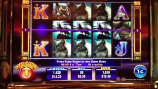 Winning Wolf Slot Machine 13 FREE SPINS BONUS GAMES