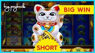 AWESOME RUMBLE! Lucky Wealth Cat Slot - $15 BET RUMBLE! #Shorts