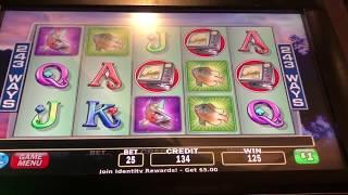 $25 Cash Cove - Bonus Free Games Jackpot Handpay at Cosmo