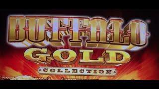 Buffalo Gold **9,000 Subscribers!!** •LIVE PLAY• Slot Machine Pokie at San Manuel, SoCal