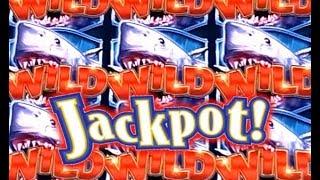 • JACKPOT HANDPAY • First for Sharknado Slot Machine! Max Bet • David's Bonus!! • Slot Traveler