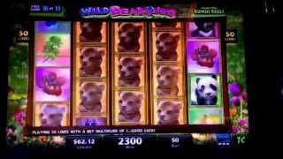 Wild Bear Paws Slot machine BONUS & FULL SCREEN WIN