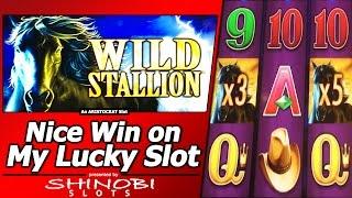 Wild Stallion Slot - Nice Win on my Lucky Machine at Pechanga