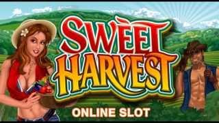 Sweet Harvest Online Slots