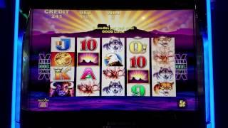 Buffalo Slot Machine MAX BET 100$ QUICK Lose  Part2
