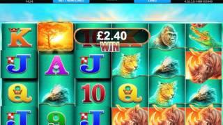 Mega Slot Mayhem Session Big Stakes and Big Features PART 3
