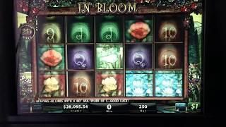 In Bloom High Limit Slot $250 a push