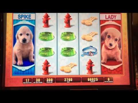 OMG Puppies Max Bet $3 Bonus ** SLOT LOVER **