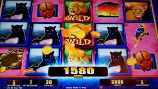 Jungle Cats Slot Machine Bonus - 8 Free Games with Stacked Symbols + Wilds - Nice Win