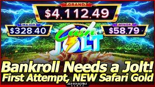 Cash Jolt Safari Gold Slot Machine - First Attempt, Fun Slot with Potential.  Live Play and Bonuses!