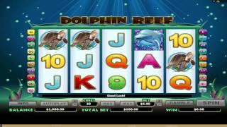 FREE Dolphin Reef ™ Slot Machine Game Preview By Slotozilla.com