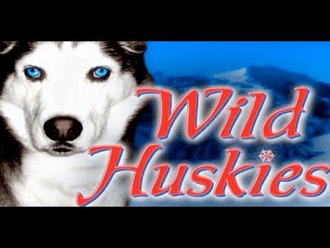 Free Wild Huskies slot machine by Bally gameplay ★ SlotsUp